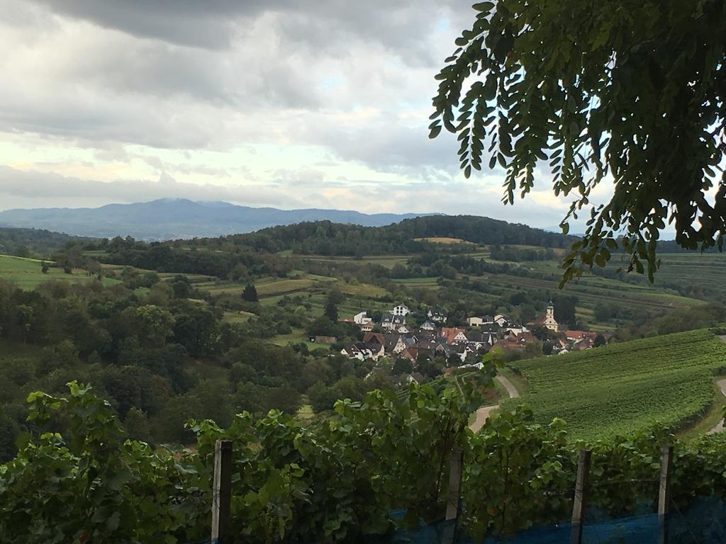 Holiday Apartment Bombach Kenzingen Zewnętrze zdjęcie